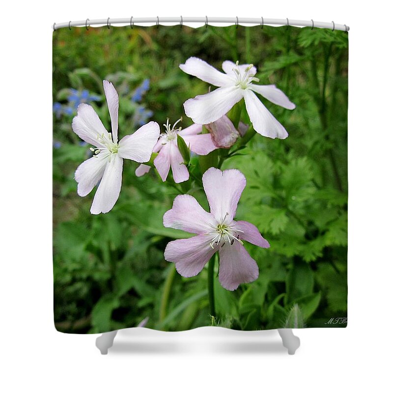 Herb Shower Curtain featuring the photograph Soapwort Flowers by MTBobbins Photography