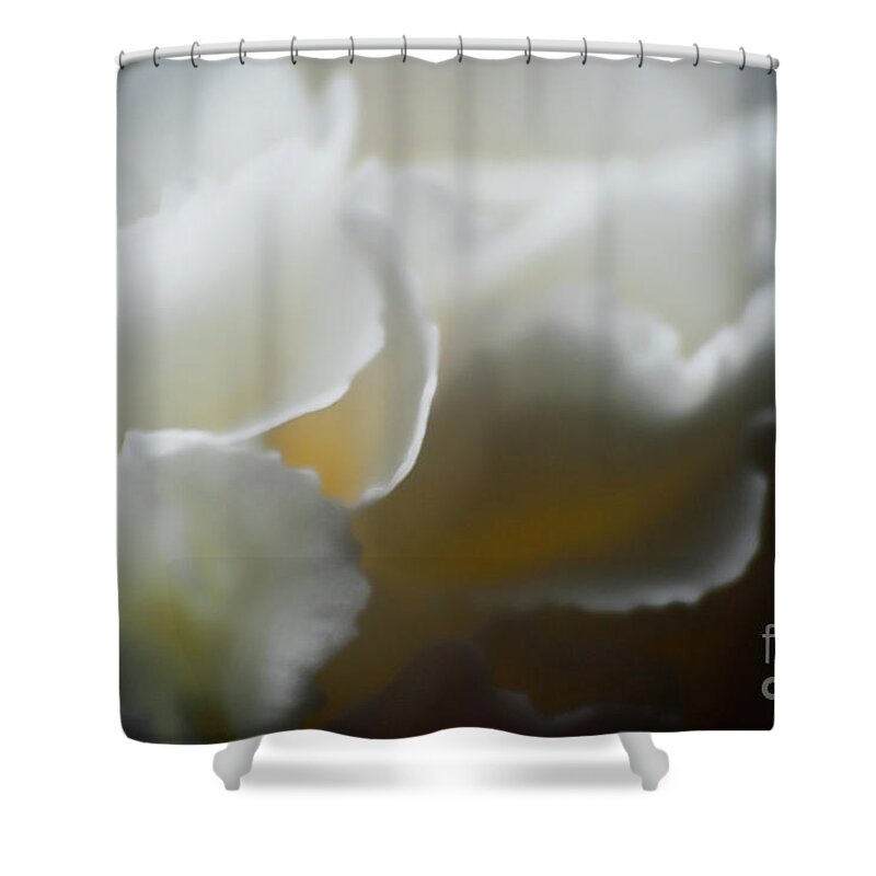 Flower Shower Curtain featuring the photograph Soft and Delicate by Ron Roberts