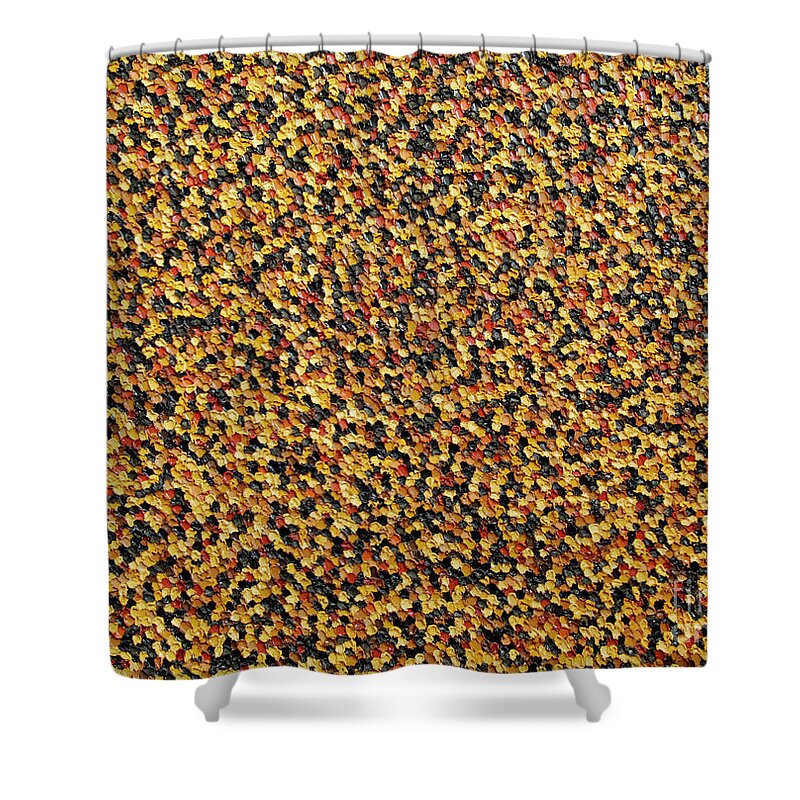 Abstract Shower Curtain featuring the painting Soft Black with Brown by Dean Triolo