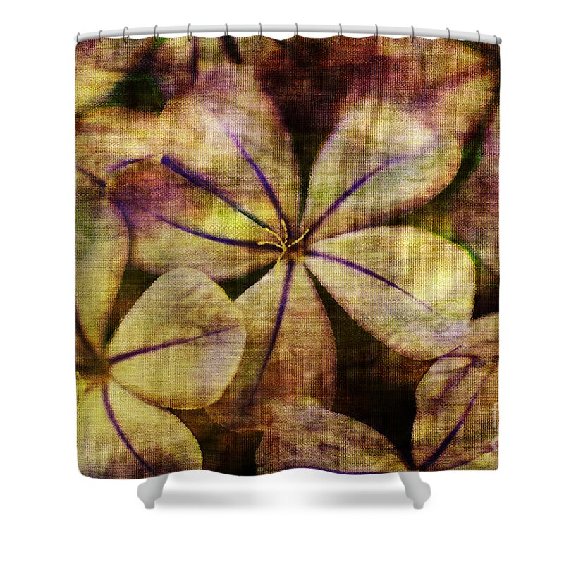 Flower Art Shower Curtain featuring the painting Soft Violet and Orange Flower Art by Jani Bryson