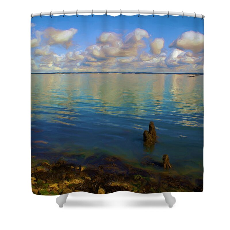 Coast Shower Curtain featuring the digital art Solent by Ron Harpham