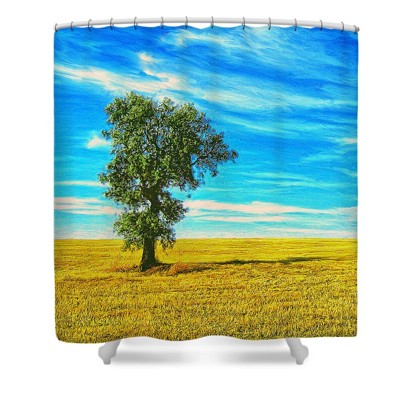 Solitario Shower Curtain featuring the painting Solitario by Dominic Piperata