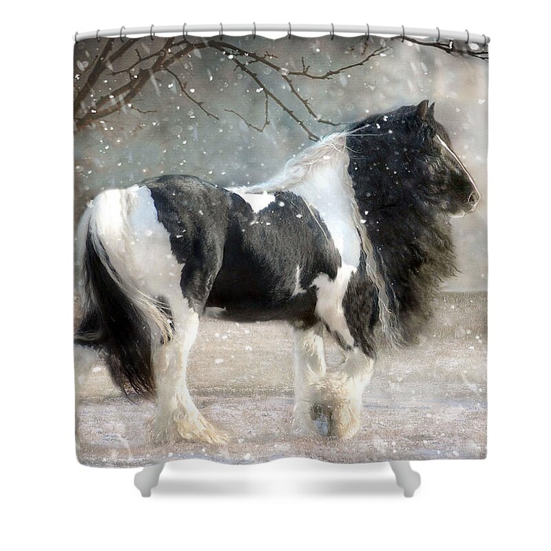 Horse Photographs Shower Curtain featuring the photograph Solitary by Fran J Scott