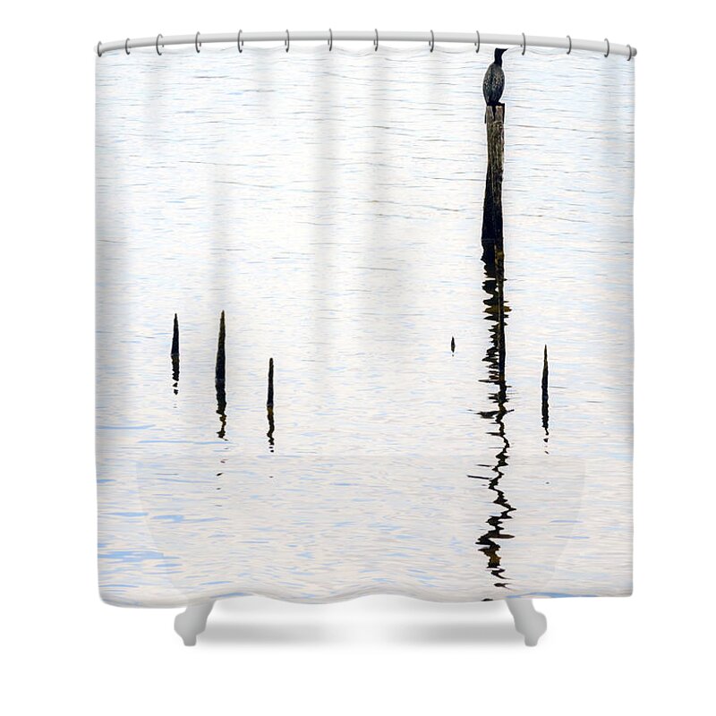 Water Shower Curtain featuring the photograph Solitude by Anthony Davey