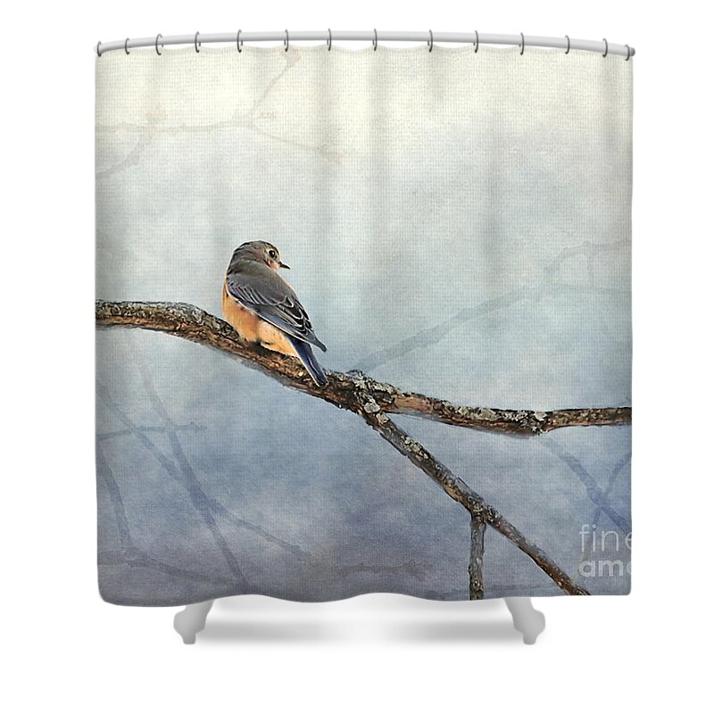 Bird Shower Curtain featuring the photograph Solitude by Jai Johnson