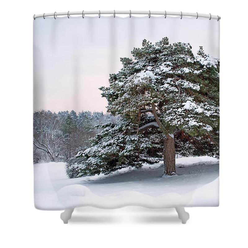 Solitude Shower Curtain featuring the photograph Solitude by Torbjorn Swenelius