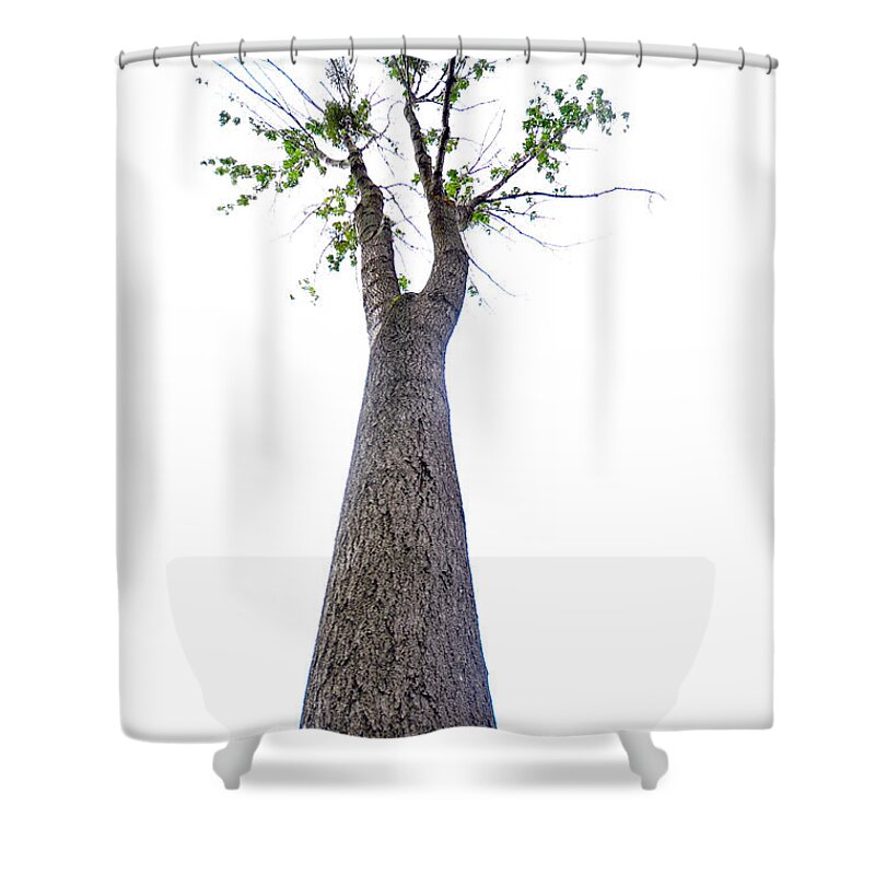 Tall Shower Curtain featuring the photograph Somewhere up there by Randi Grace Nilsberg