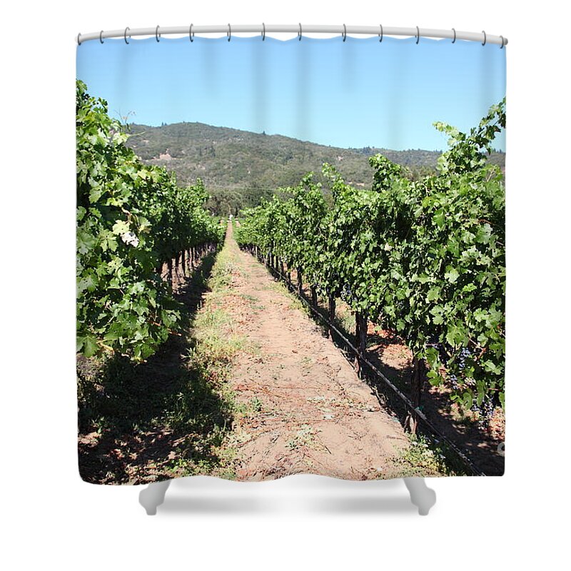 Vineyard Shower Curtain featuring the photograph Sonoma Vineyards In The Sonoma California Wine Country 5D24638 by Wingsdomain Art and Photography