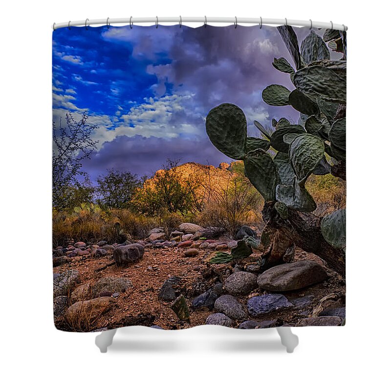 2013 Shower Curtain featuring the photograph Sonoran Desert 54 by Mark Myhaver