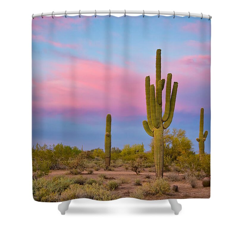 Saguaros Shower Curtain featuring the photograph Southwest Desert Spring by James BO Insogna