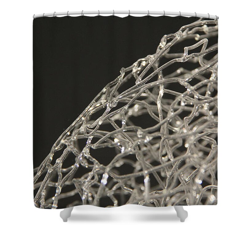 Art Shower Curtain featuring the photograph Spaghetti by Adrienne Franklin