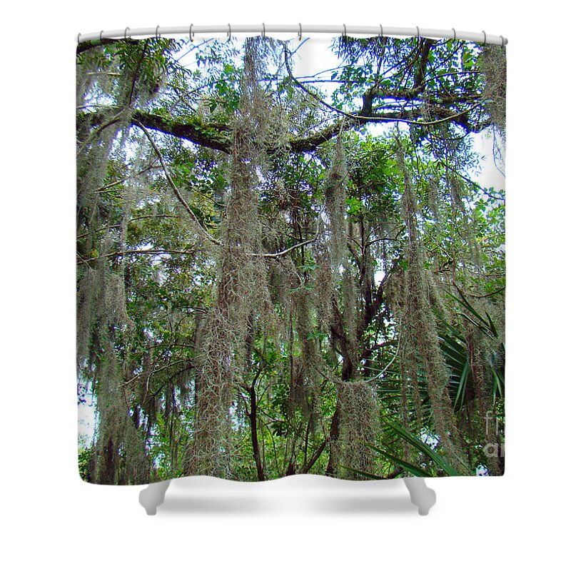 Spanish Moss Shower Curtain featuring the photograph Spanish Moss 3 by Nancy L Marshall