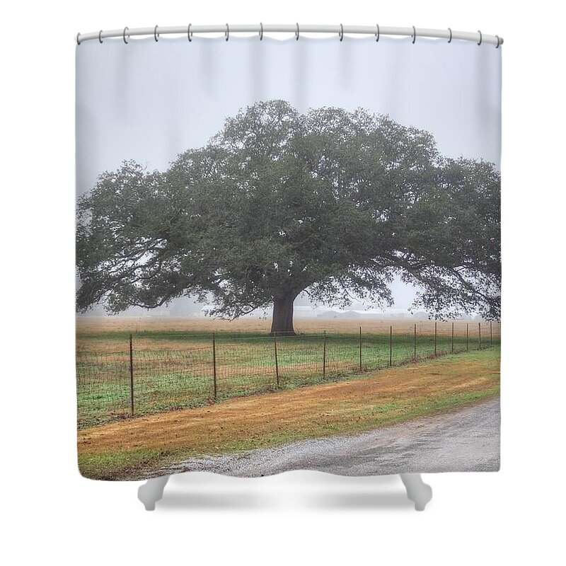 Spanish Shower Curtain featuring the photograph Spanish Oak II by Lanita Williams
