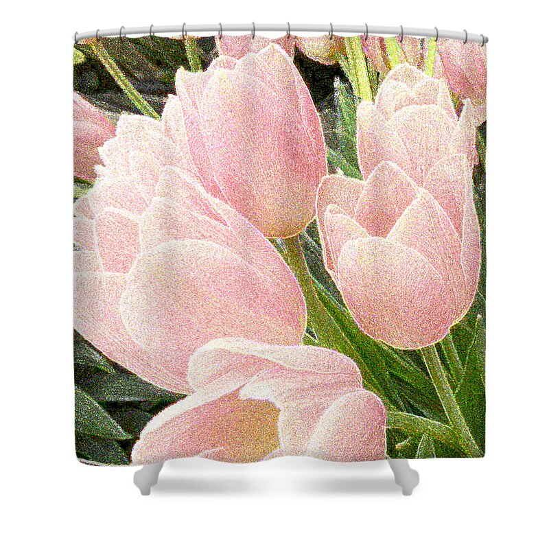 Tulips Shower Curtain featuring the photograph Sparkling Tulips by Jo Smoley