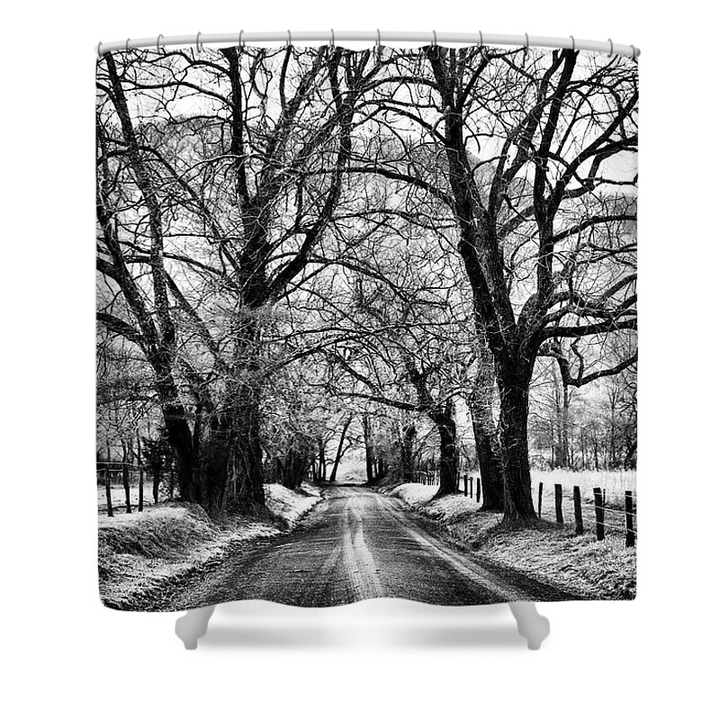 Cades Cove Shower Curtain featuring the photograph Sparks Lane During Winter by Carol Montoya