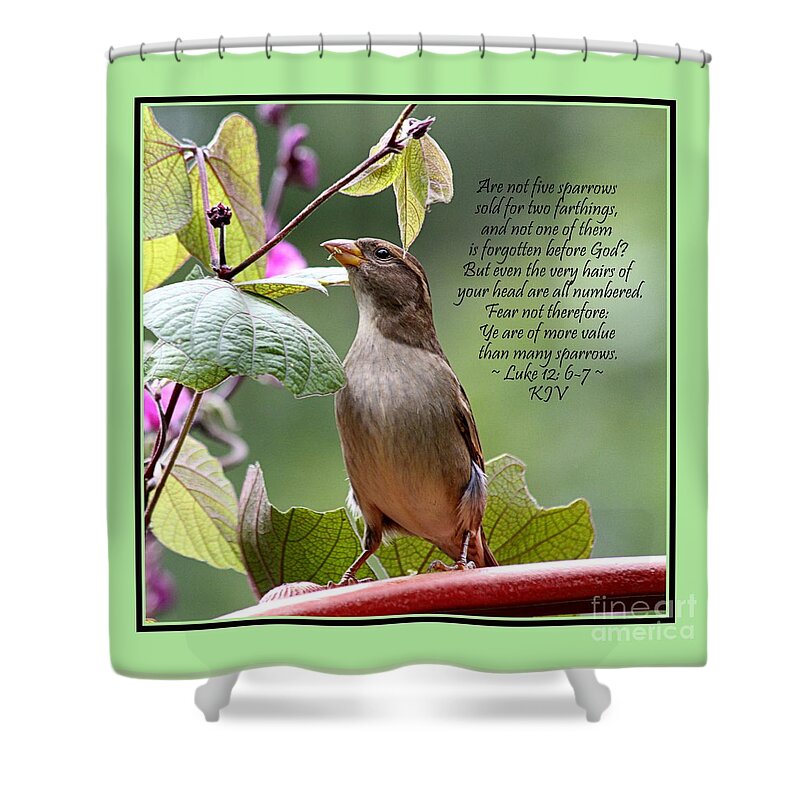 Luke 12 Shower Curtain featuring the photograph Sparrow Inspiration from the Book of Luke by Catherine Sherman