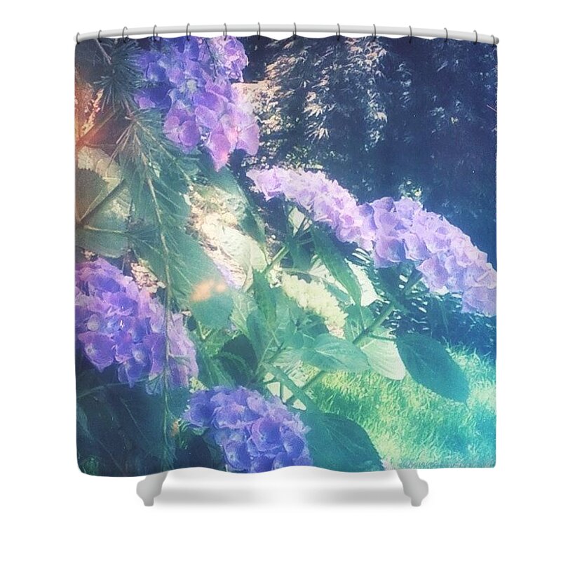 Wec_ig Shower Curtain featuring the photograph Speak Softly ... Blue Hydrangeas In My by Anna Porter
