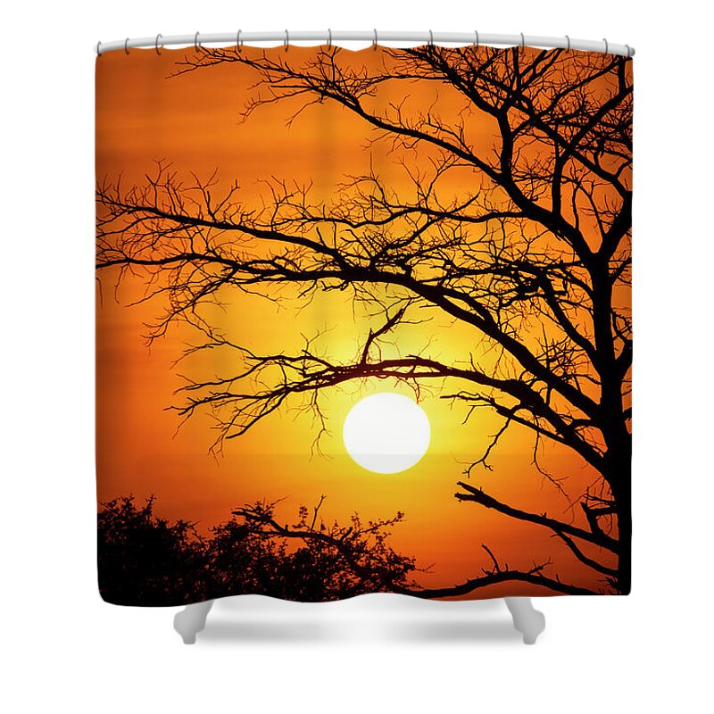 Scenics Shower Curtain featuring the photograph Spectacular Sunset Behind A Tree by Guenterguni