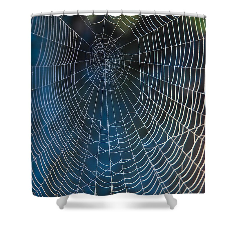 Spiderweb Shower Curtain featuring the photograph Spider's Net by Heiko Koehrer-Wagner