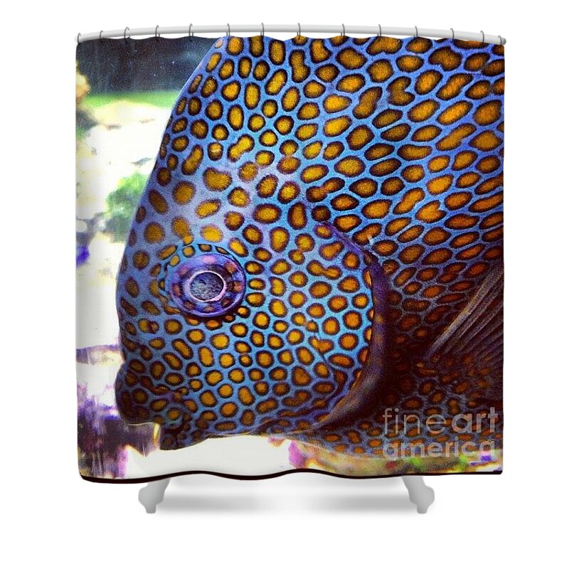 Fish Shower Curtain featuring the photograph Spots by Denise Railey