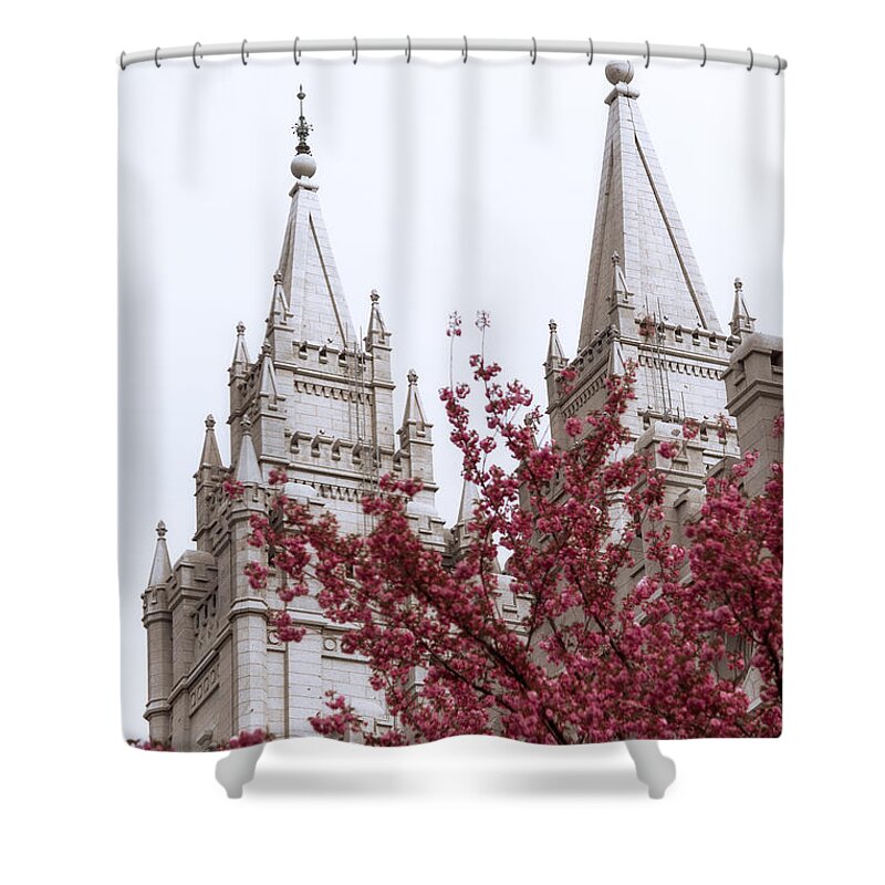 Spring At The Temple Shower Curtain featuring the photograph Spring at the Temple by Chad Dutson