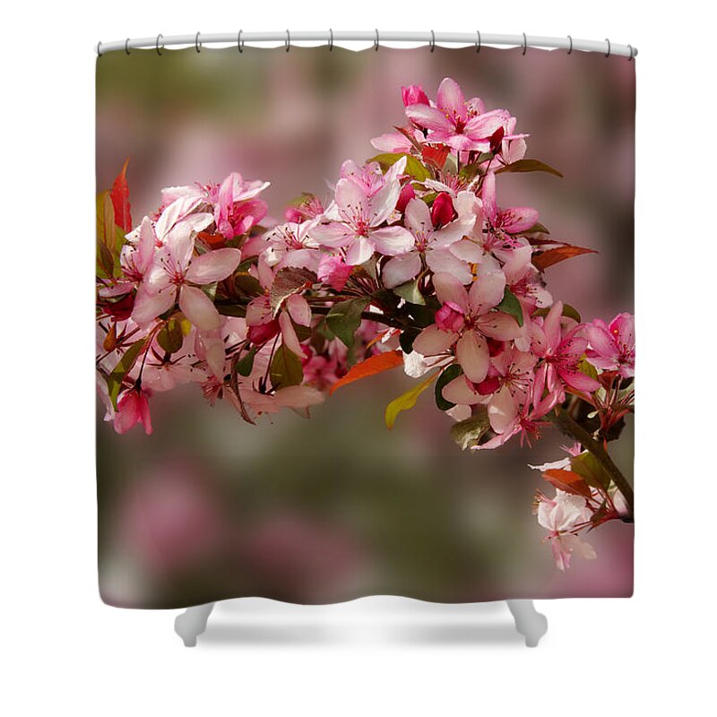 April Shower Curtain featuring the photograph Cheery Cherry Blossoms by Penny Lisowski