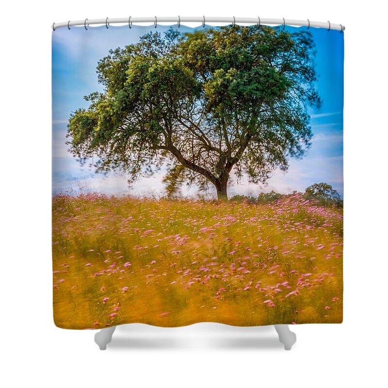 Blowing Shower Curtain featuring the photograph Spring Breeze by Mark Rogers