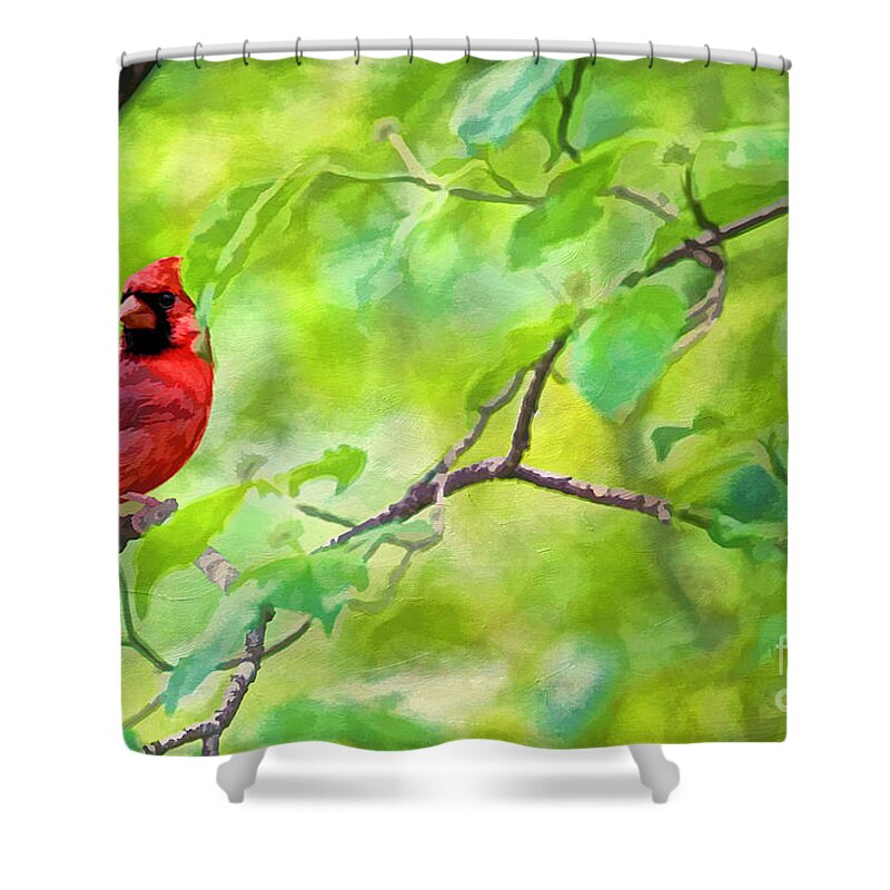 America Shower Curtain featuring the photograph Spring Cardinal by Darren Fisher