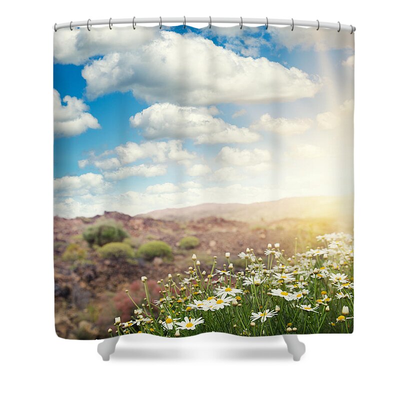 Scenics Shower Curtain featuring the photograph Spring Daisy Field On Summer Season by Franckreporter