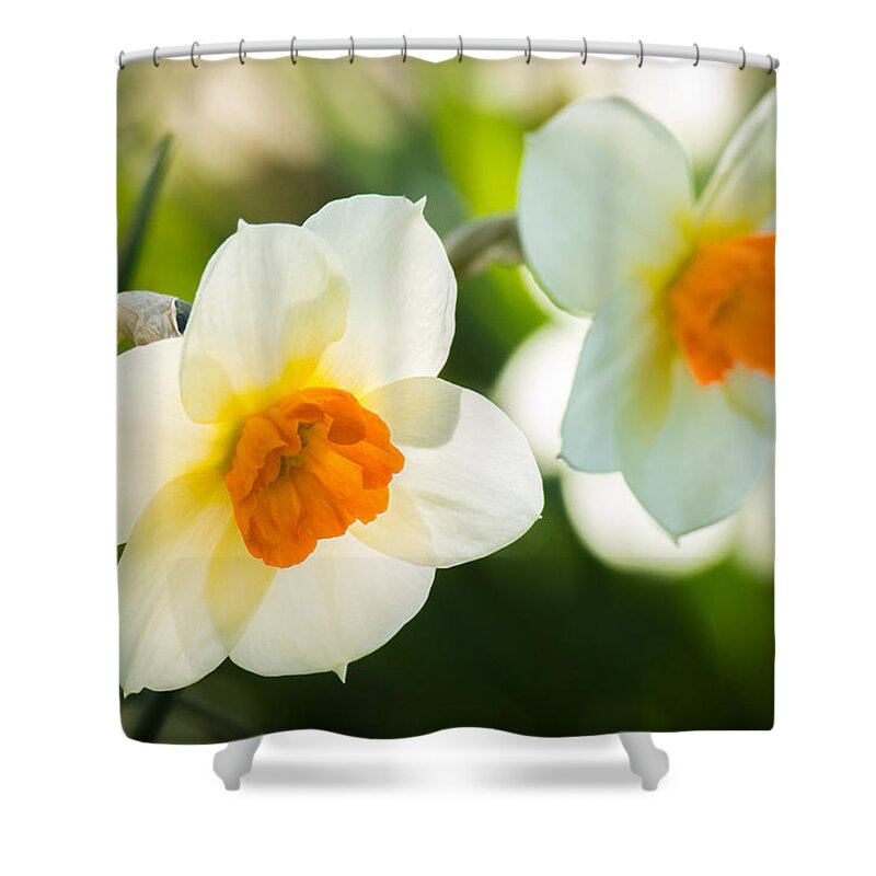 White Shower Curtain featuring the photograph Spring Glow by Bill Pevlor