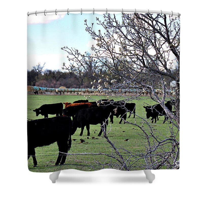Spring Shower Curtain featuring the photograph Spring in the Hay Meadow by Sylvia Thornton