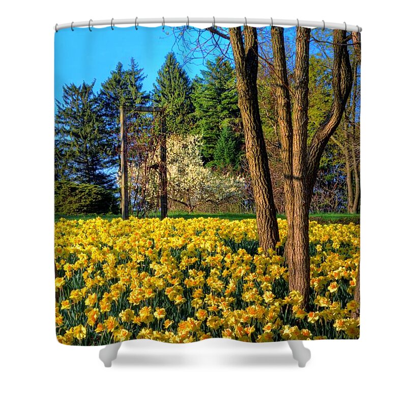 Yellow Shower Curtain featuring the photograph Spring Is In The Air by John Absher