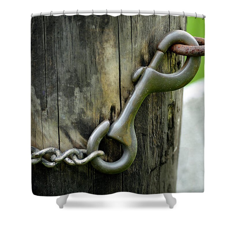 Spring Loaded Shower Curtain featuring the photograph Spring Loaded by Lisa Phillips