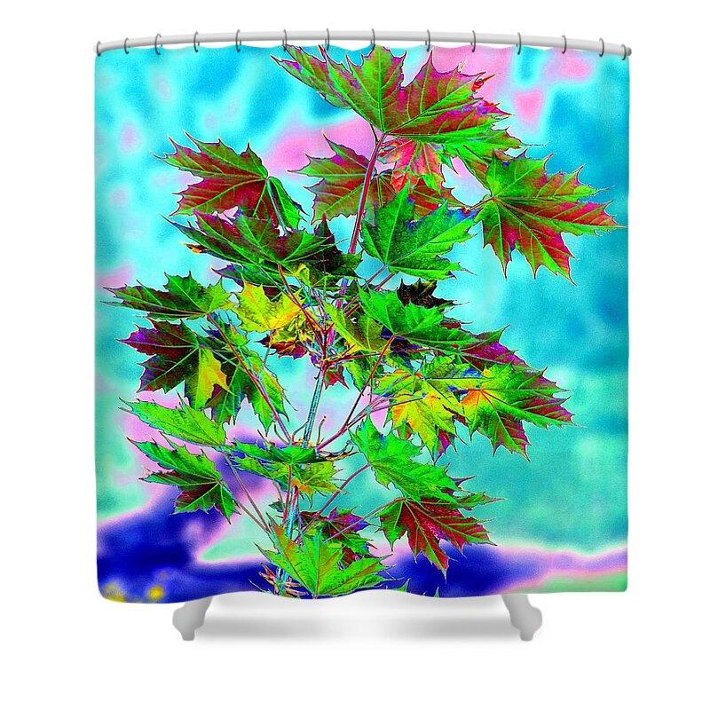 Spring Maple Leaf Design Shower Curtain featuring the digital art Spring Maple Leaf Design by Will Borden