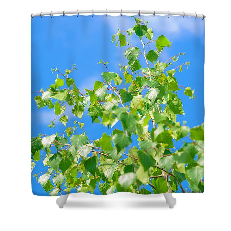Landscape Shower Curtain featuring the photograph Spring by Michael Goyberg