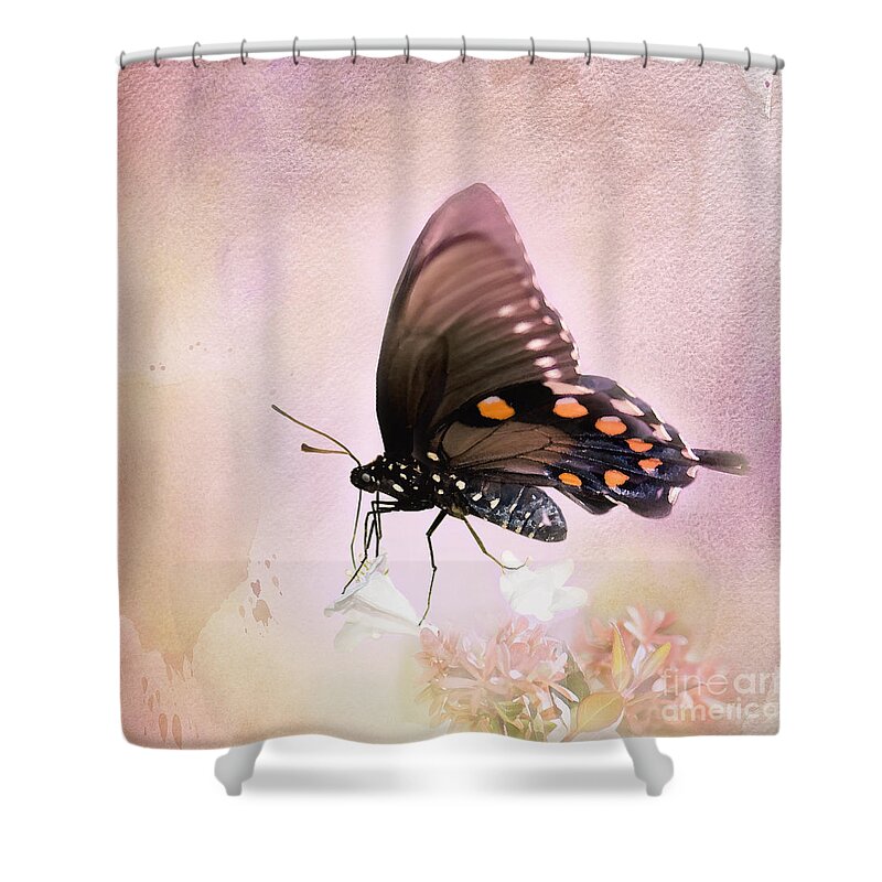 Pipevine Swallowtail Butterfly Shower Curtain featuring the photograph Spring Morning by Betty LaRue