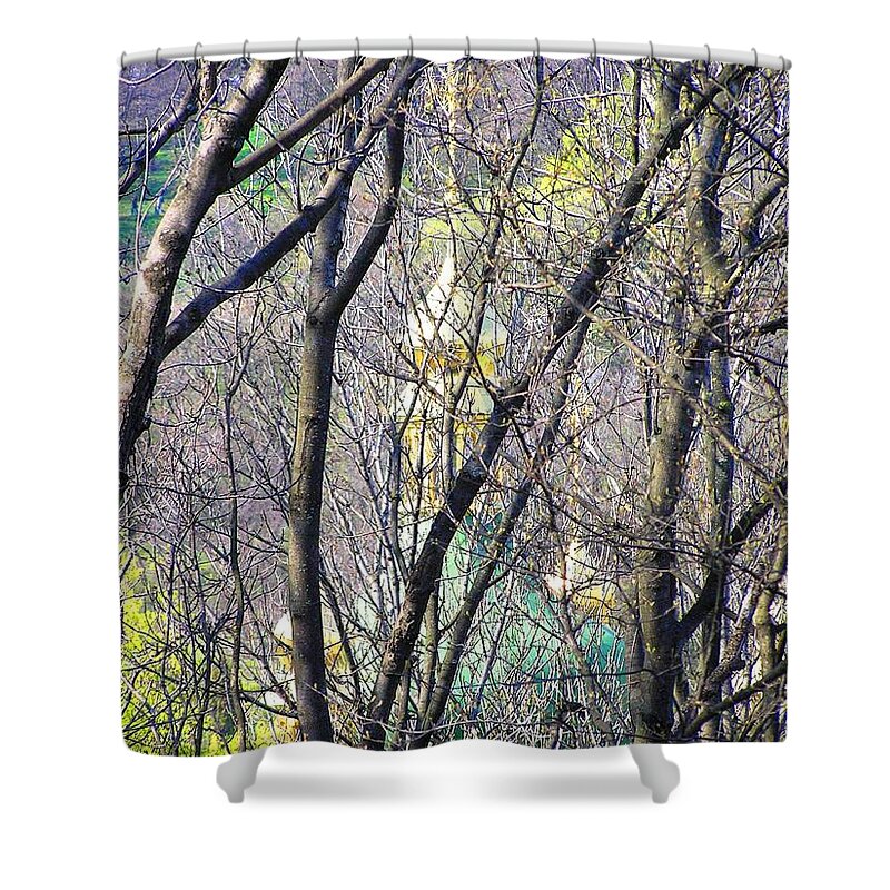 Spring Shower Curtain featuring the photograph Spring by Oleg Zavarzin