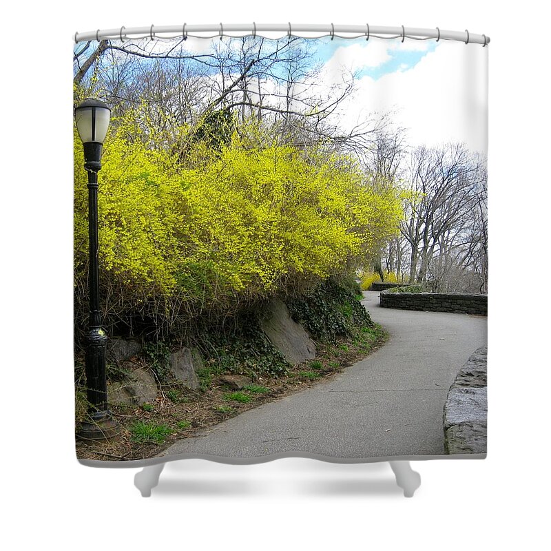 Spring Shower Curtain featuring the photograph Spring Road by Ydania Ogando
