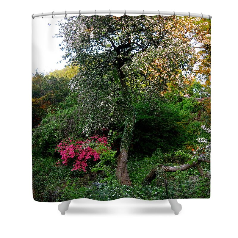 Spring Shower Curtain featuring the photograph Spring Time by Ydania Ogando
