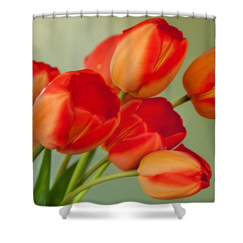  Shower Curtain featuring the photograph Spring Tulips by Courtney Webster