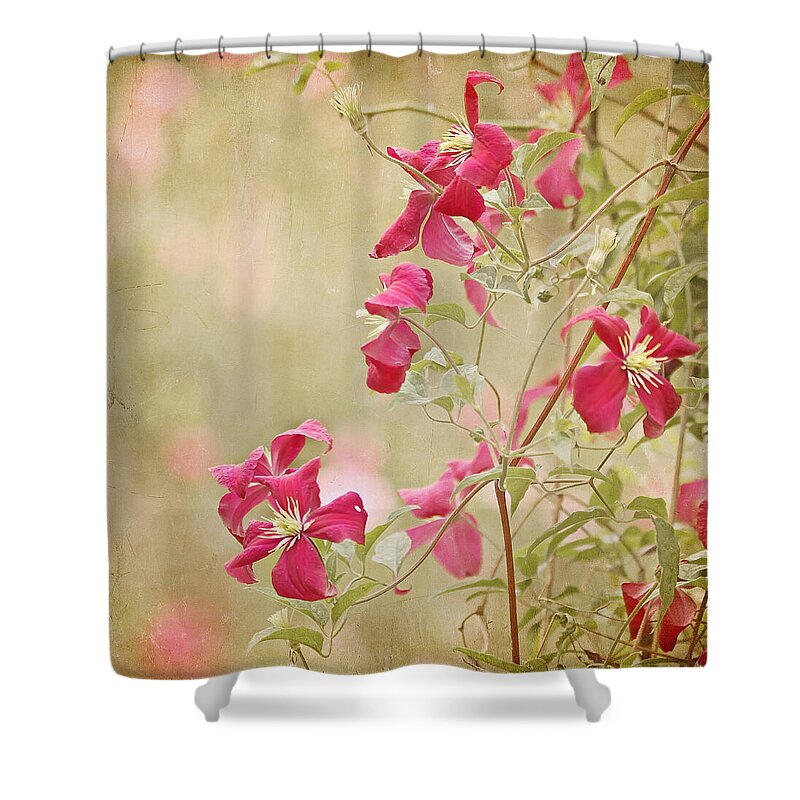 Red Flower Shower Curtain featuring the photograph Spring Whisper by Kim Hojnacki