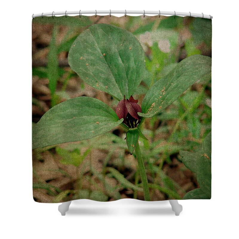 Trillium Shower Curtain featuring the photograph Spring Wildflower by Cassie Peters