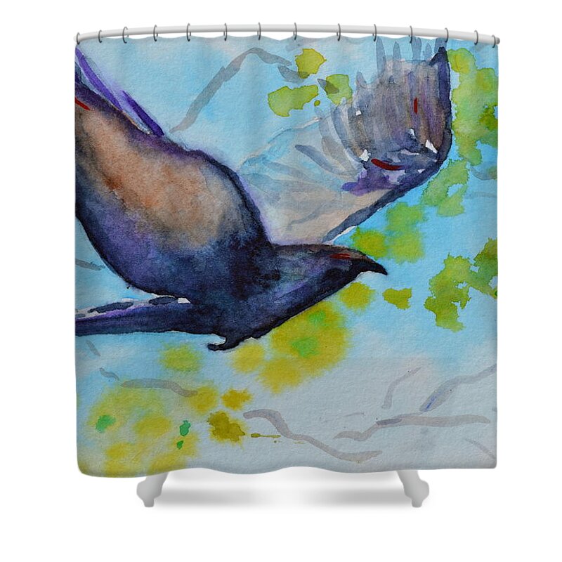 Crow Shower Curtain featuring the painting Spring Wings by Beverley Harper Tinsley