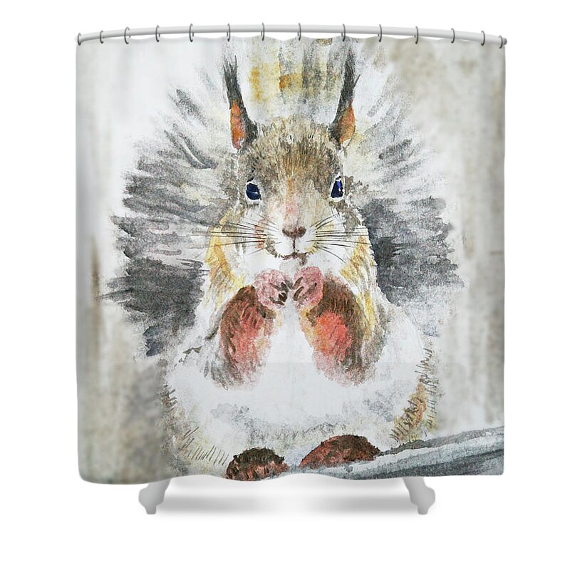 Squirrel Shower Curtain featuring the painting Squirrel. Watercolor by Masha Batkova