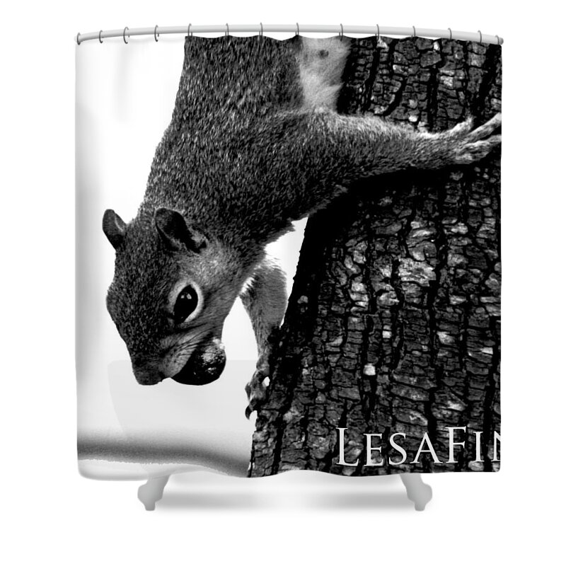 Squirrel Shower Curtain featuring the photograph Squirrel on A Mission by Lesa Fine