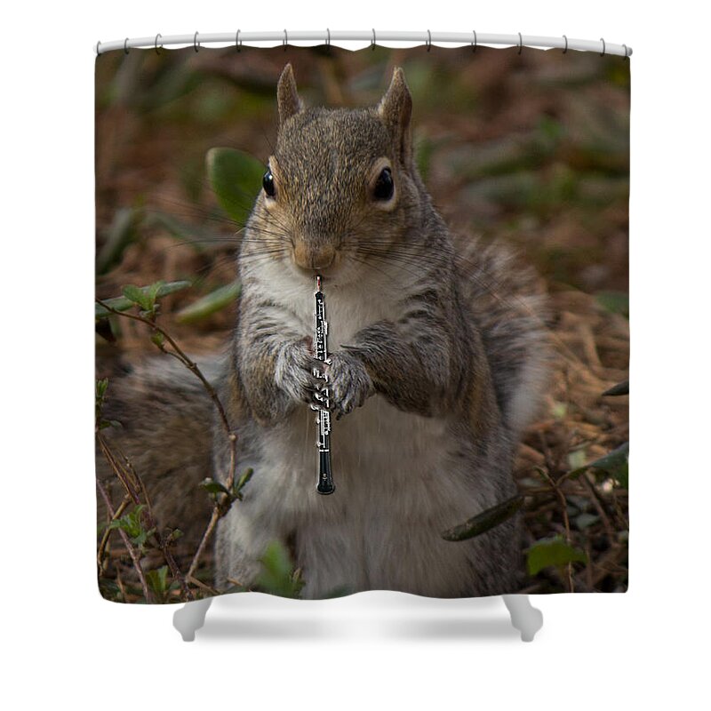 Wood Shower Curtain featuring the photograph Squirrel With His Obo by Sandra Clark