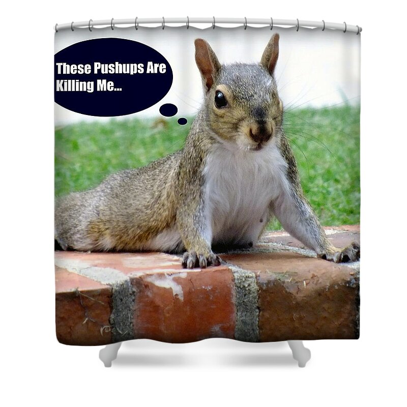 Gym Art Shower Curtain featuring the photograph Squirrely Push Ups by Karen Wiles