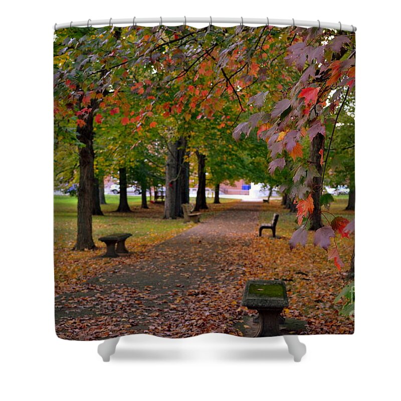St Mary Woods Shower Curtain featuring the photograph St Mary of the Woods Trees by Amy Lucid
