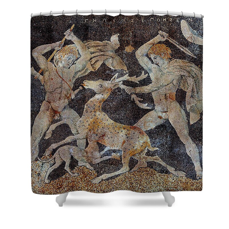 Archeology Shower Curtain featuring the photograph Stag Hunt Mosaic, 4th Century Bc by Science Source