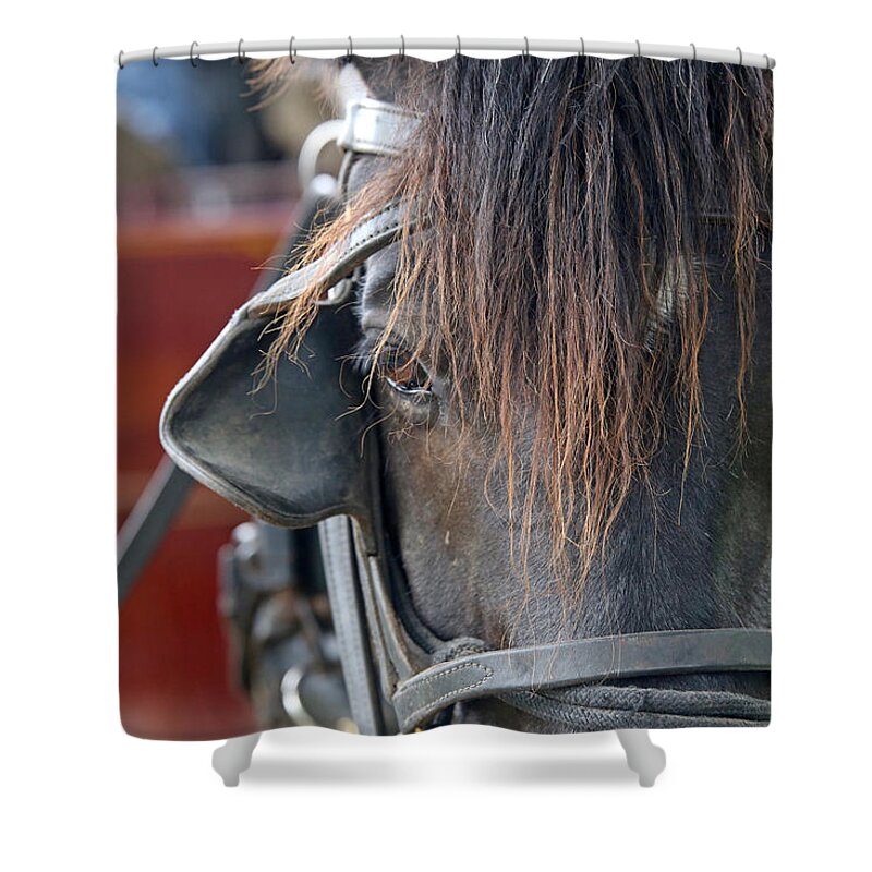 Stagecoach Shower Curtain featuring the photograph Stagecoach by Lynn Sprowl